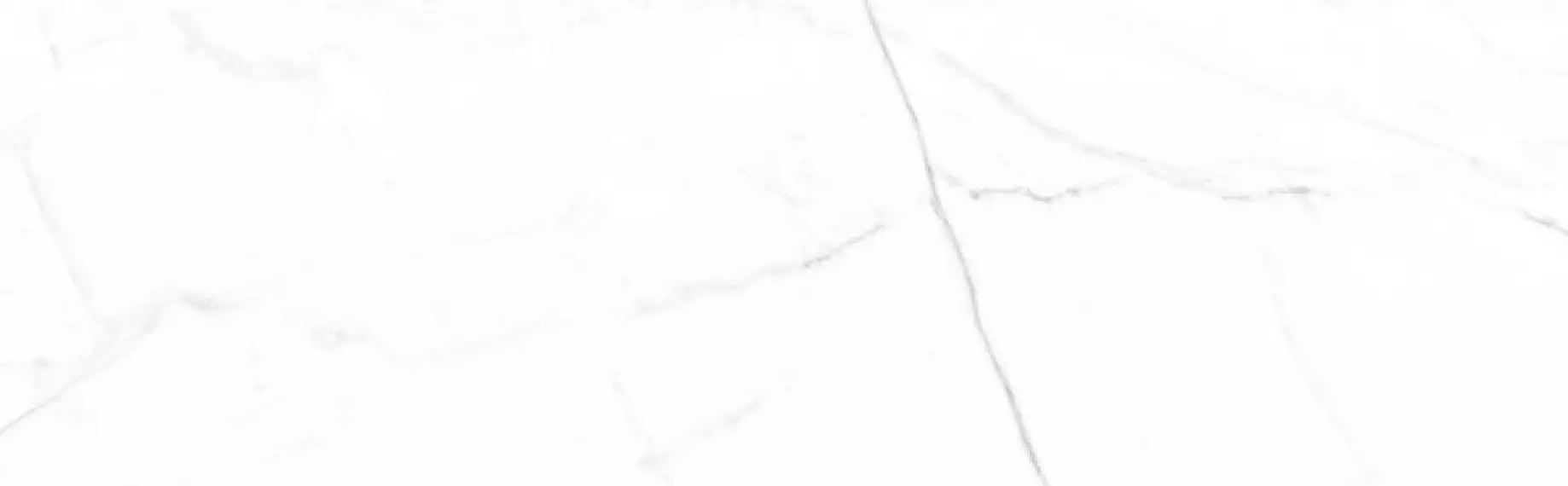 Vivid White Calacatta 29.75x99.55